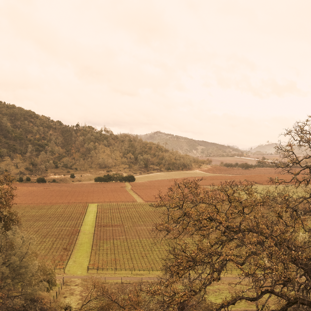 View from a hill looking down a flat field surrounded by tree covered hills.
