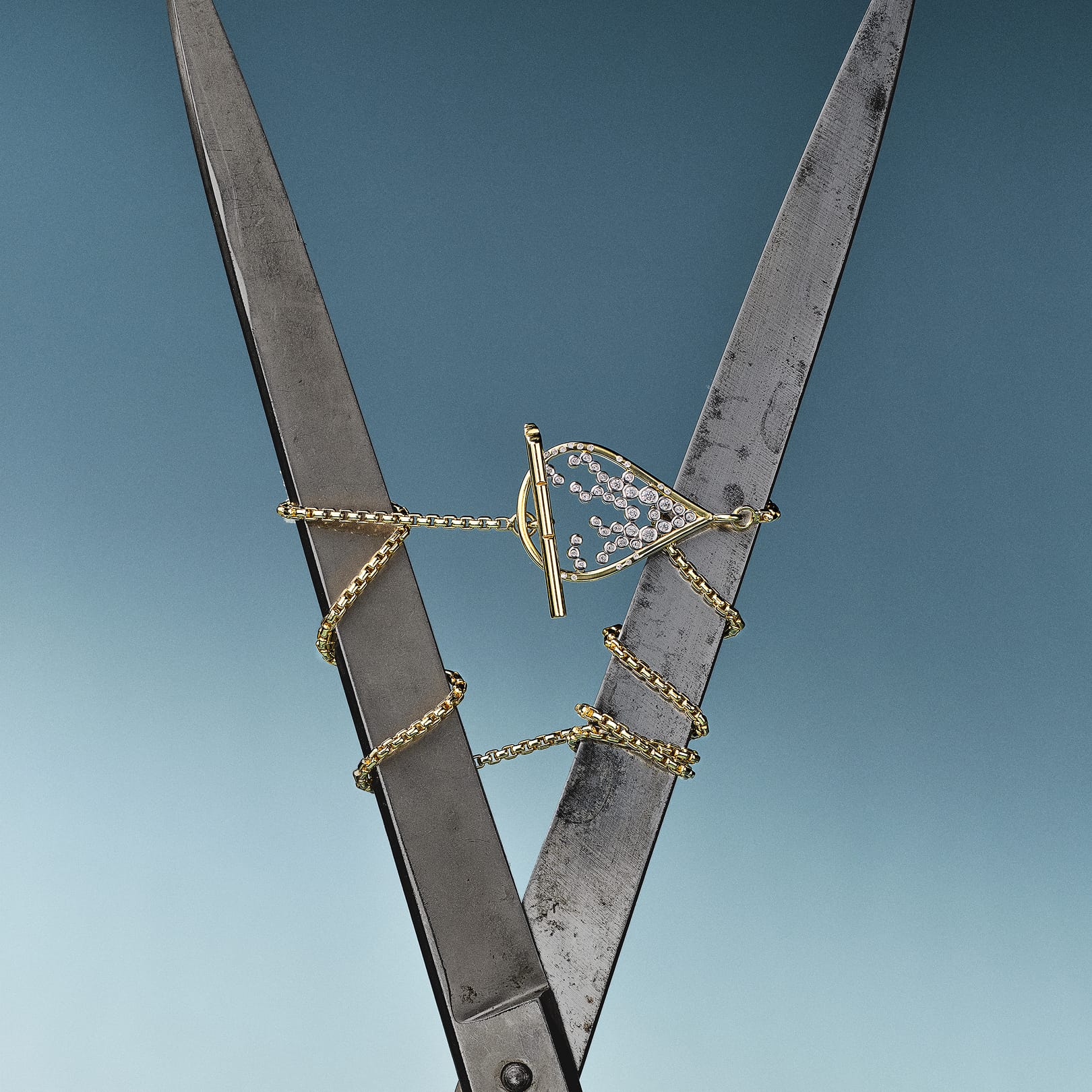 Emergence Toggle Necklace