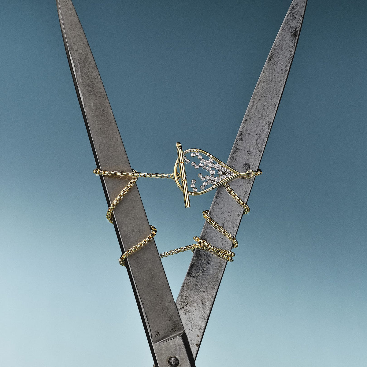 Emergence Toggle Necklace