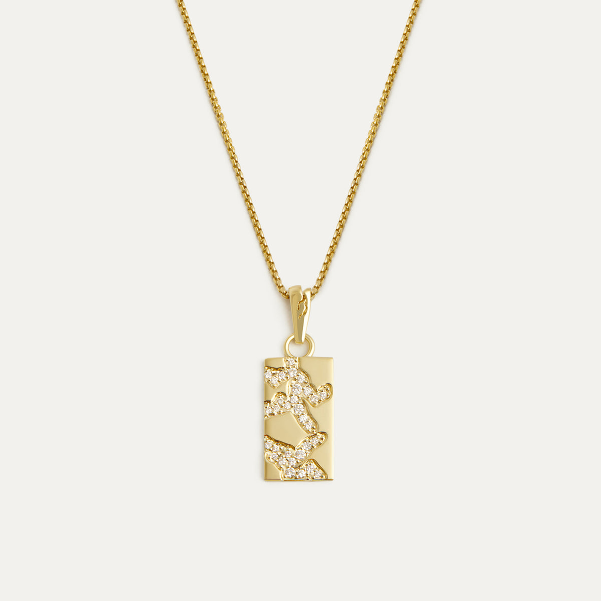 Emergence Small Pendant on Chain